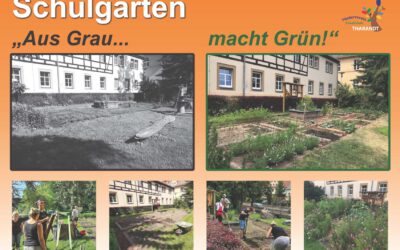 11. Sächsischer Schulgartenwettbewerb – endlich stehen die Landessieger fest